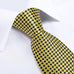 Yellow and Blue Silk Necktie Set-DBG1422