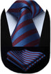 New Blue and Burgundy Necktie Set-HDN565