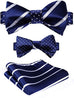 Blue and White Bow Tie Set Double Sided-HDNX35