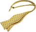 Yellow and Blue Bow Tie Set-BTSYO523