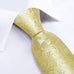 Canary Yellow Paisley Necktie Set-DBG1339