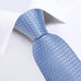 Blue and White Dot Necktie Set-DBG1412