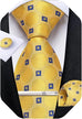 Yellow and Blue Silk Necktie Set-DBG1559