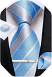 Light Blue and Grey Necktie Set-DBG1566