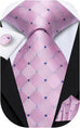 Pink and Blue Necktie Set-DUB1564