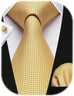 Yellow Businessman Necktie Set-HDNE68