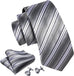 Silver Black Grey Striped Necktie Set-LBWY1379