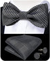 Black and Grey Bow Tie Set-BTS487