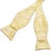 Yellow Paisley Bow Tie Set-BTS500