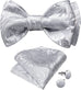 Silver Paisley Bow Tie Set-BTS502