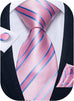 Pink and Blue Stripe Silk Necktie Set-DBG1113
