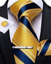 Blue and Yellow Silk Necktie Set-DBG469