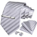 Silver Striped Necktie Set-DBG481