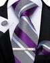 Purple and Grey Silk Necktie Set-DBG688
