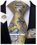 Blue and Yellow Paisley Necktie Set-DBG733
