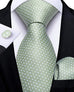 Men's Mint Green Necktie Set-DBG826