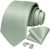 Men's Mint Green Necktie Set-DBG826
