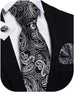 New Black and Silver Paisley Necktie Set-DBG873