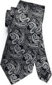 New Black and Silver Paisley Necktie Set-DBG873