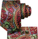 Multi Color Paisley Necktie Set-DUB949
