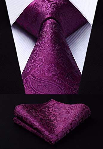 Eggplant Paisley Wedding Necktie Set-HDN311