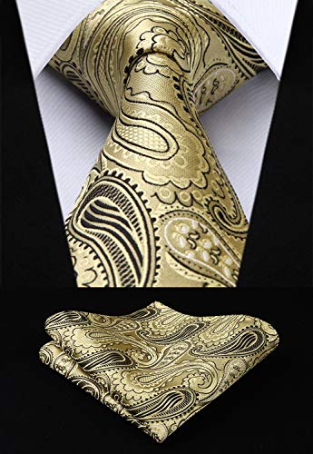 Gold and Black Paisley Silk Necktie Set HDN508