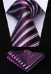 Purple and Silver Silk Necktie Set HDN5097