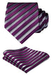 Purple and Silver Silk Necktie Set HDN5097