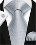 Silver Necktie Set-HDNE56