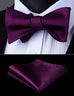Egg Plant Solid  Bow Tie Set HDNX11