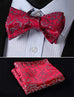 Red and Grey Silk Bow Tie Set-HDNX29