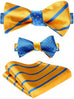 Yellow and Blue Bow Tie Set Double Sided-HDNX37