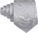 Bright Silver Paisley Necktie Set-LBW1233