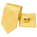 Gold Striped Silk Necktie Set -LBW316