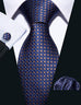 Blue and Brown Silk Necktie Set-LBW399