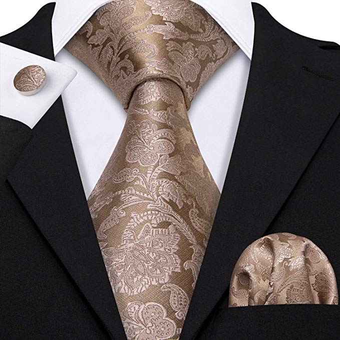 Khaki Silk Paisley Necktie Set-LBW520