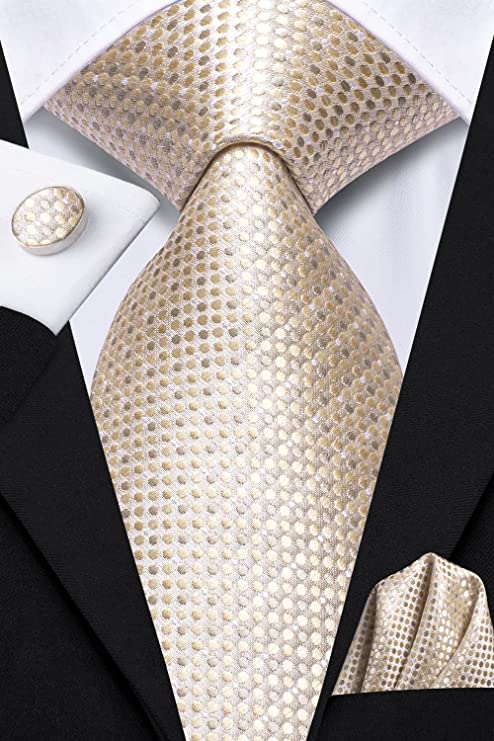 Beige Silk Necktie Set-LBWH1201