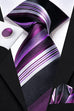 Black Purple White Striped Silk Necktie Set-LBWH1210