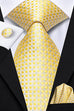 Yellow Silk Necktie Set-LBWH1219
