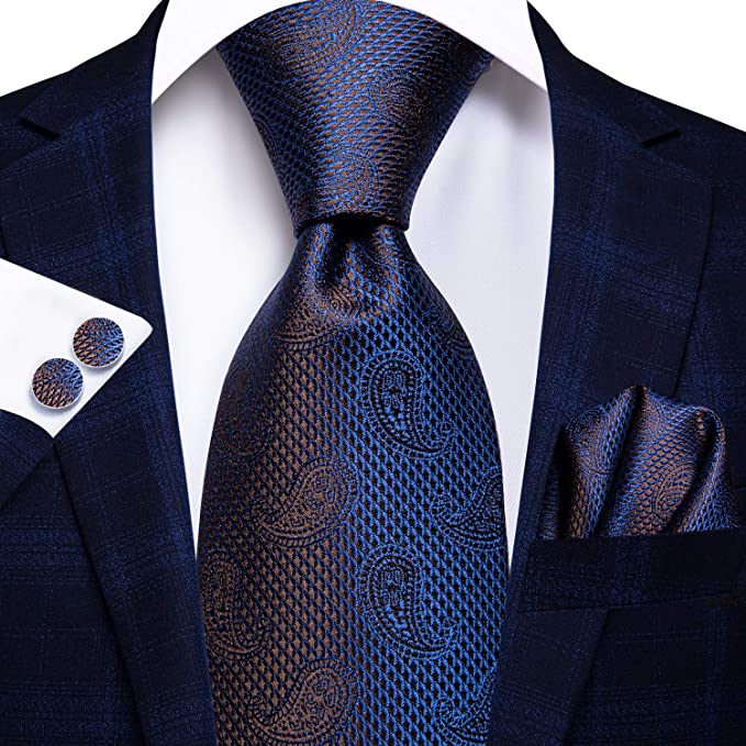 Blue and Brown Paisley Print Necktie Set-LBWH652