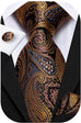 Brown Gold and Blue Paisley Tie Set-LBWH654