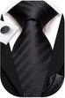 Black and White Stripe Dot Necktie Set-LBWH813