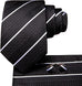 New Black and White Stripe Necktie Set-LBWH898