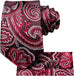 New Red and Grey Paisley Necktie Set-LBWH970