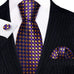Gold and Purple Silk Necktie Set-LBWY1262