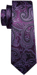 Purple Silk Paisley Necktie Set-LBWY797